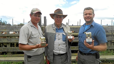 Rekord omset vir GWK Kersveiling